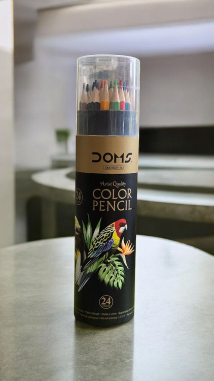 مداد رنگی 24 رنگ دامس