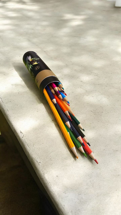 مداد رنگی 24 رنگ دامس