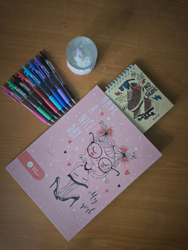 کلاسور 26 حلقه طرح دار جلد سخت Birde