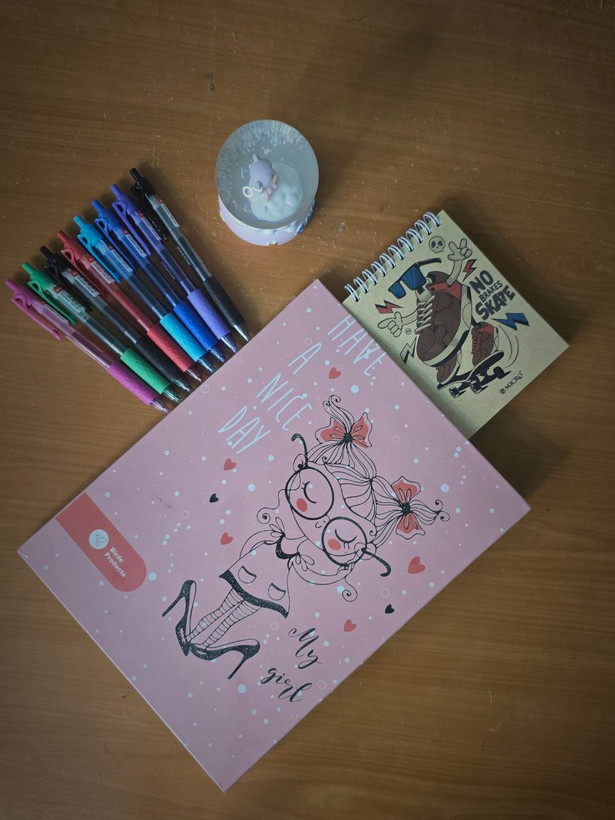 کلاسور 26 حلقه طرح دار جلد سخت Birde